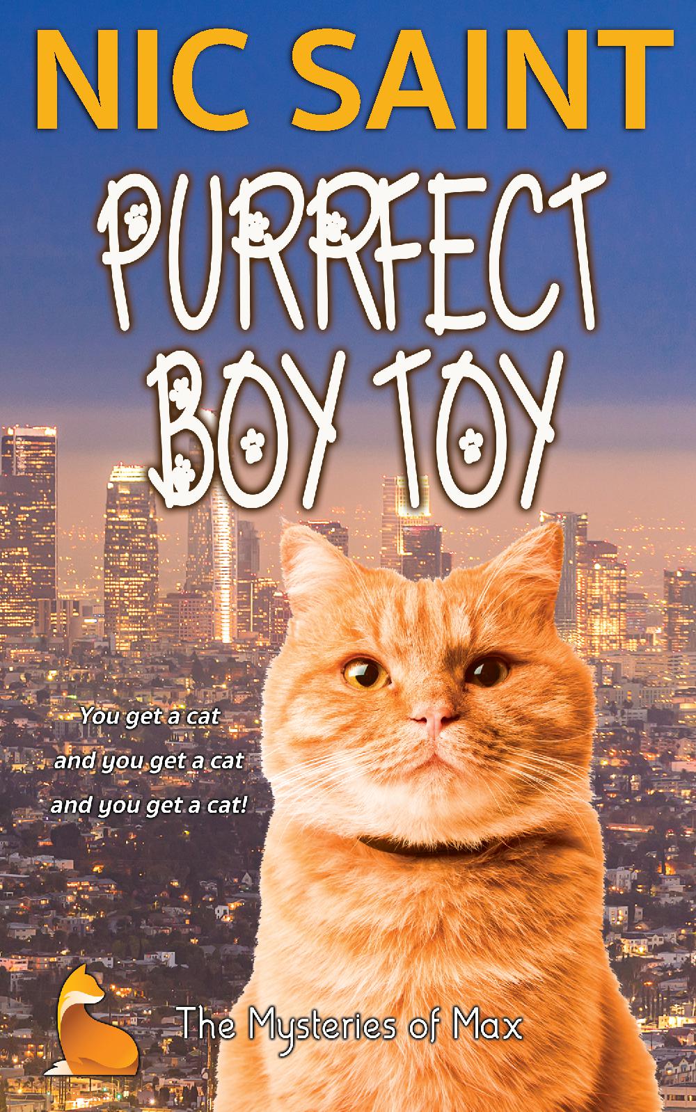 Purrfect Boy Toy (Paperback)