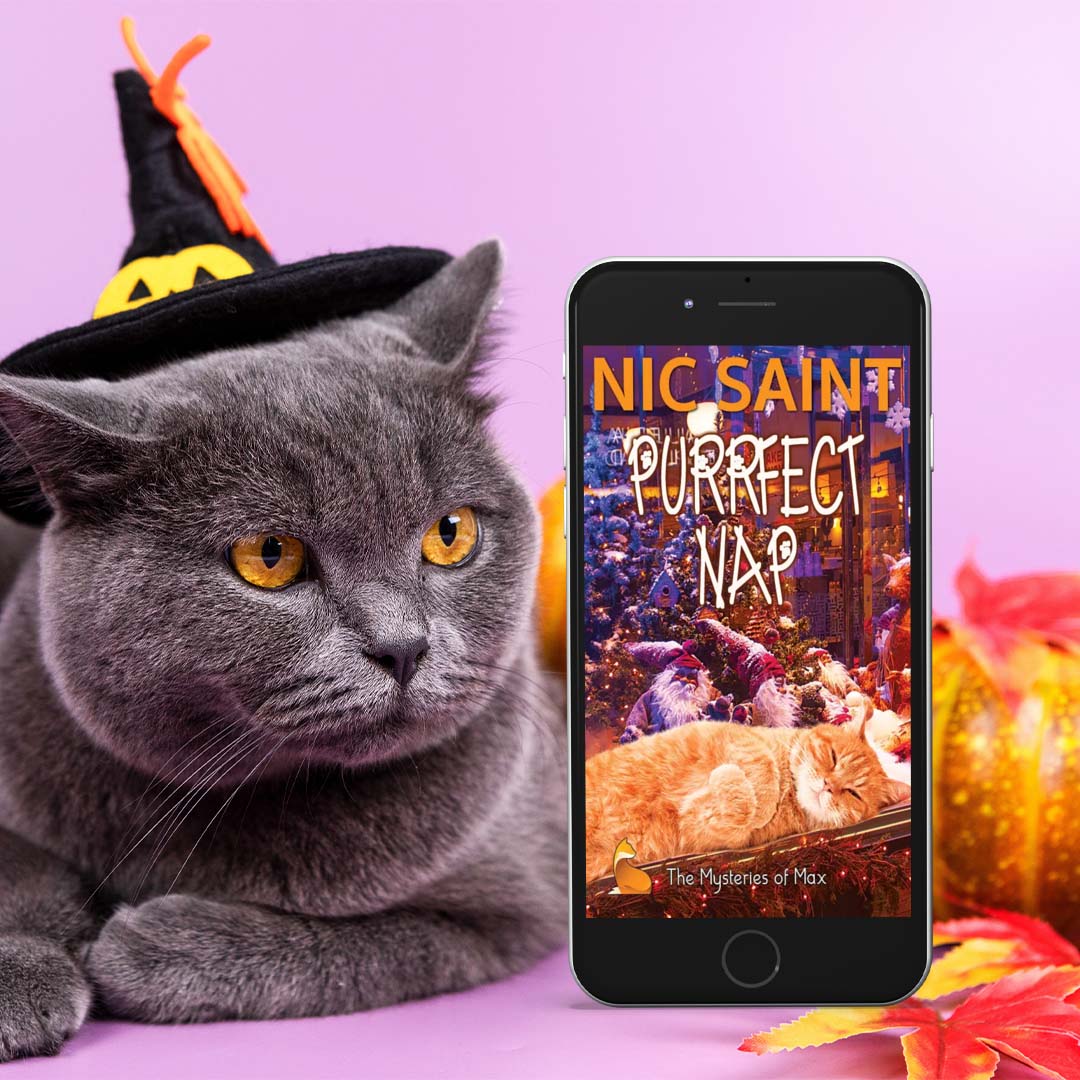 Purrfect Nap (Ebook)