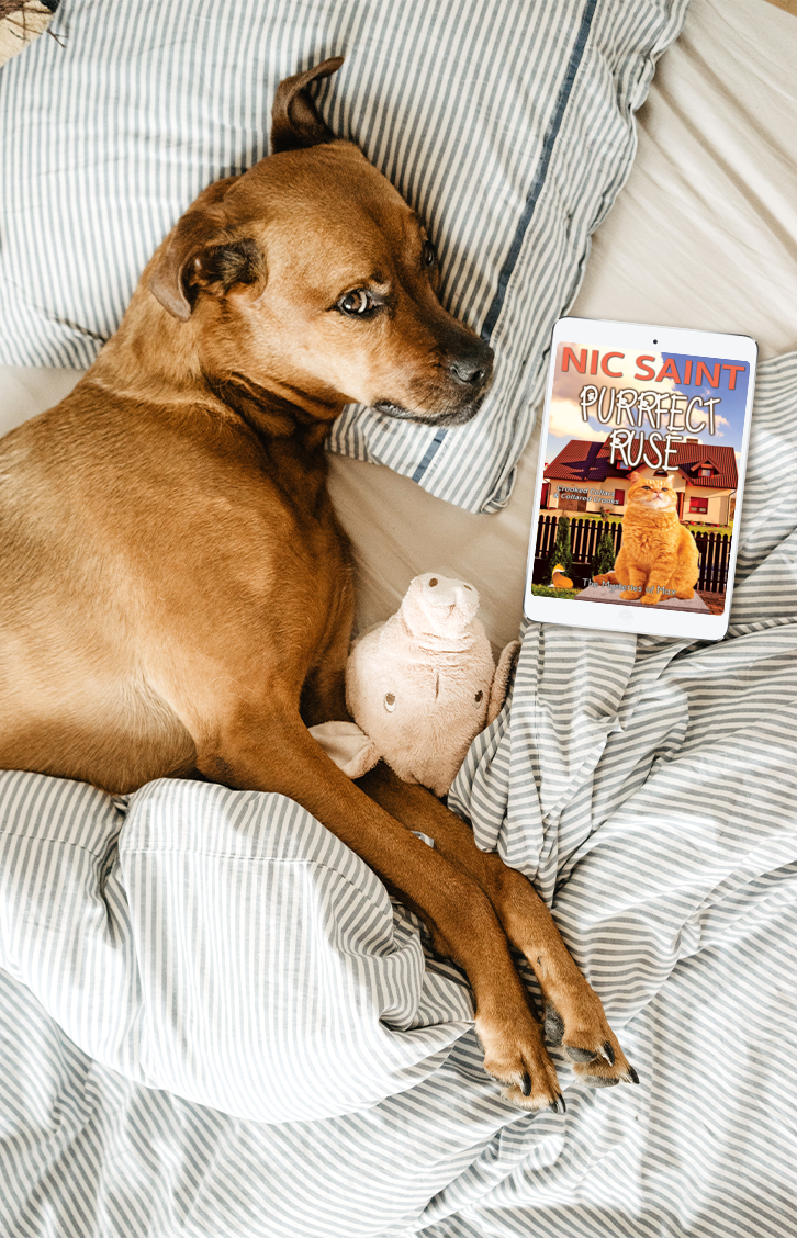Purrfect Ruse (Ebook)