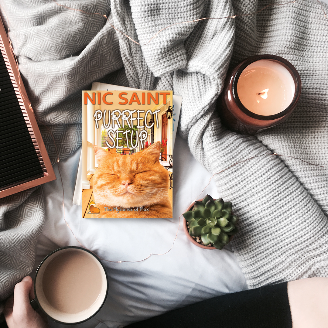 Purrfect Setup (Paperback)