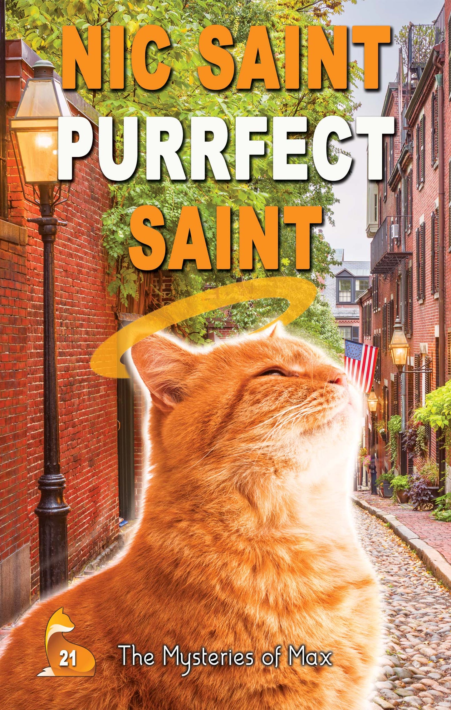 Purrfect Saint (Ebook)
