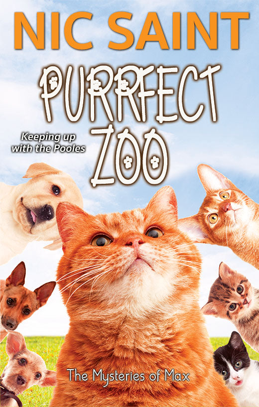 Purrfect Zoo (Paperback)