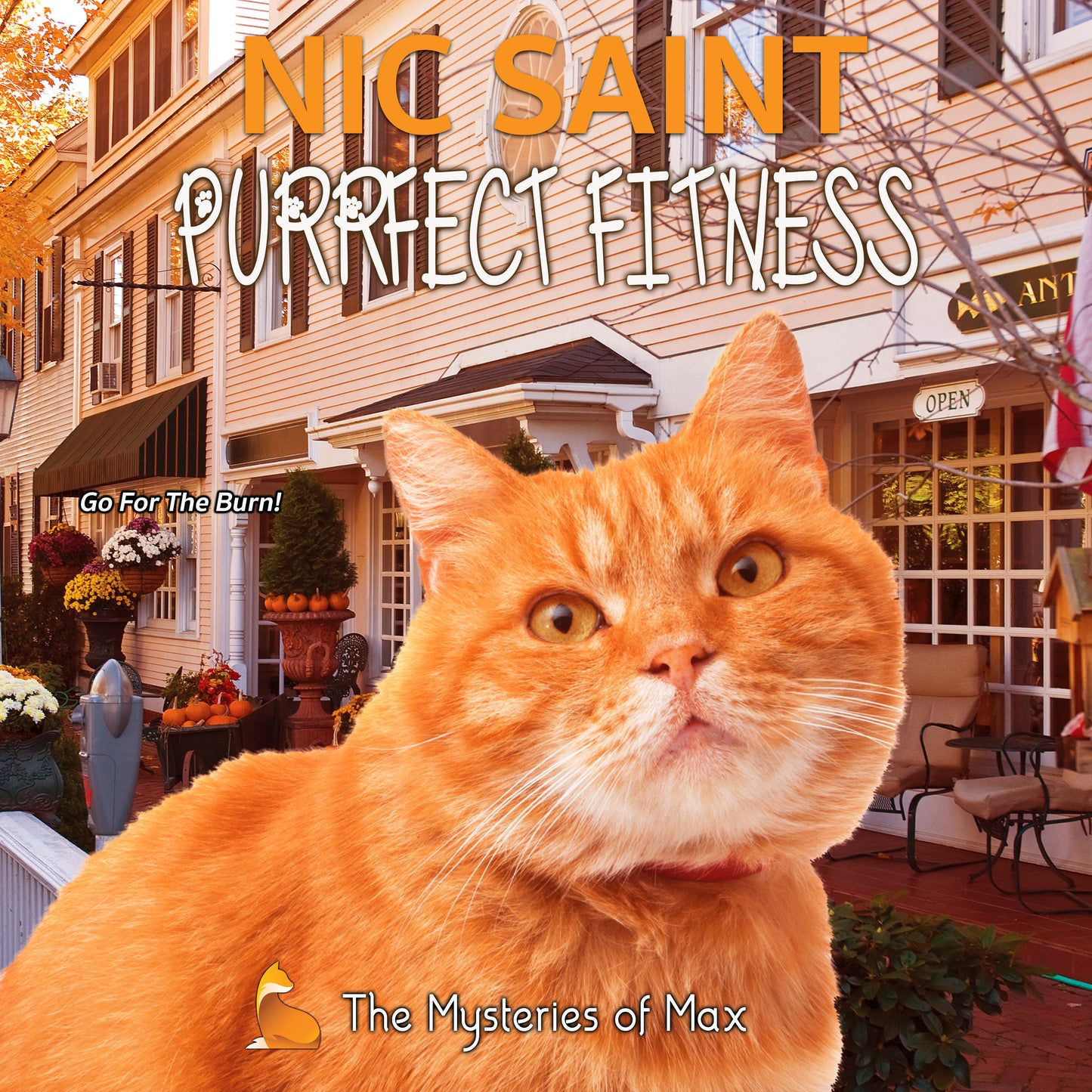 Purrfect Fitness (Audiobook)
