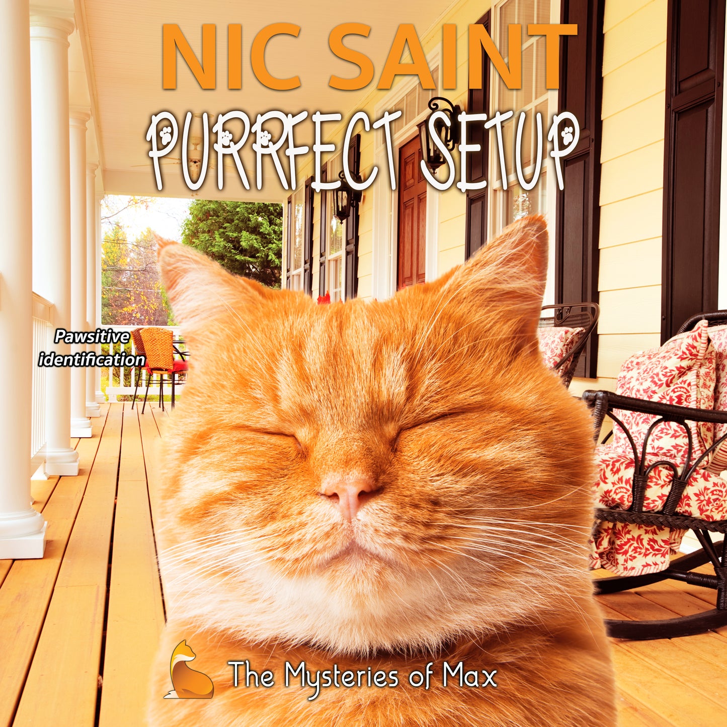 Purrfect Setup (Audiobook)