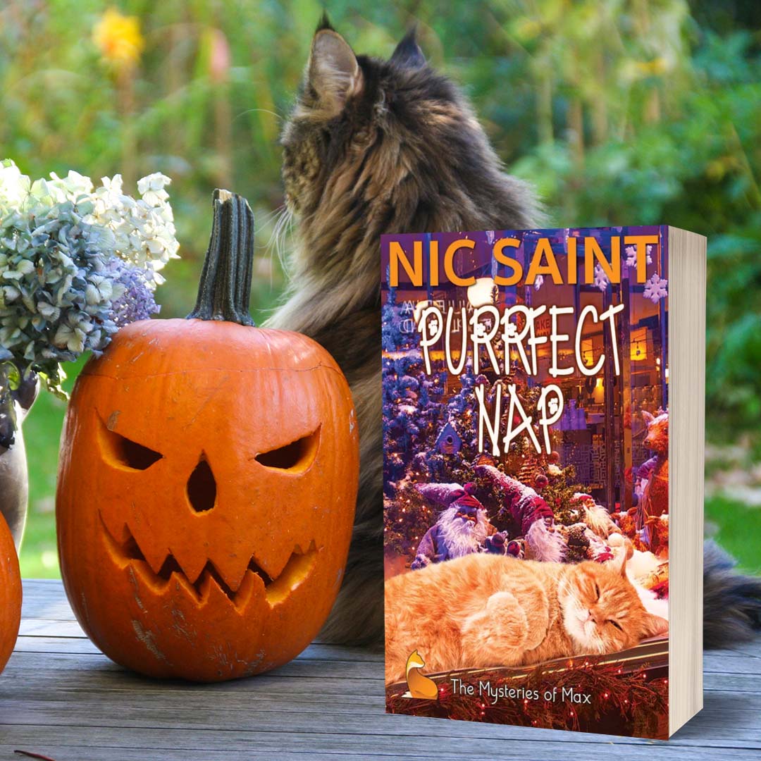 Purrfect Nap (Paperback)
