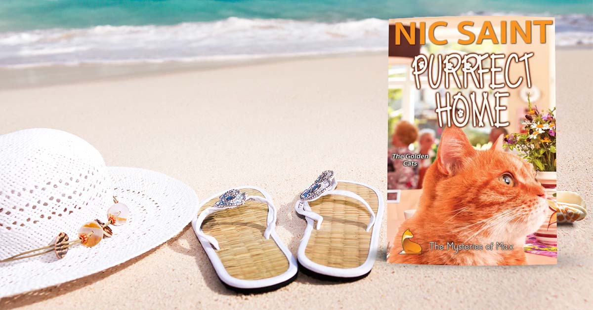 Purrfect Home (Paperback)