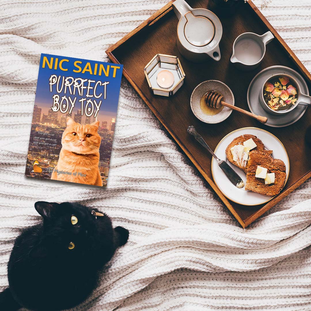 Purrfect Boy Toy (Ebook)