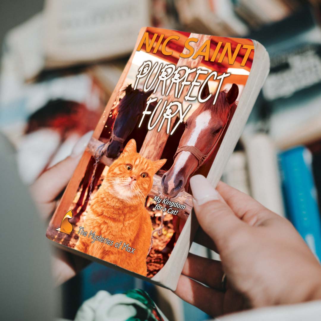 Purrfect Fury (Paperback)