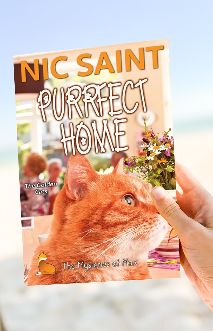Purrfect Home (Paperback)