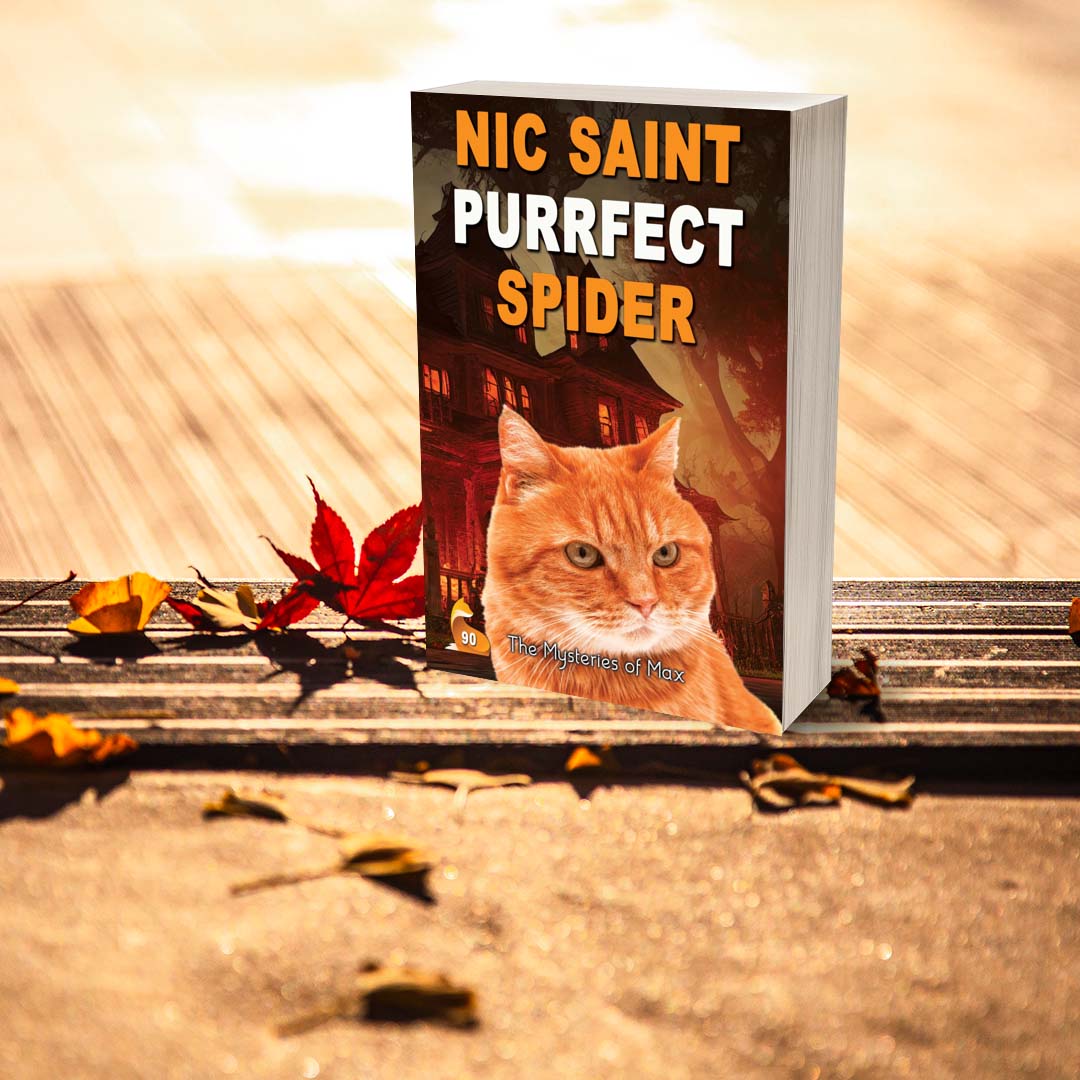 Purrfect Spider (Paperback)