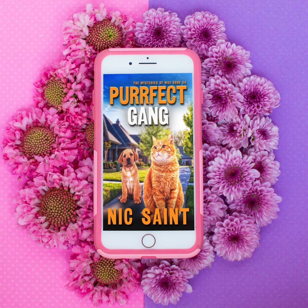 Purrfect Gang (Ebook)