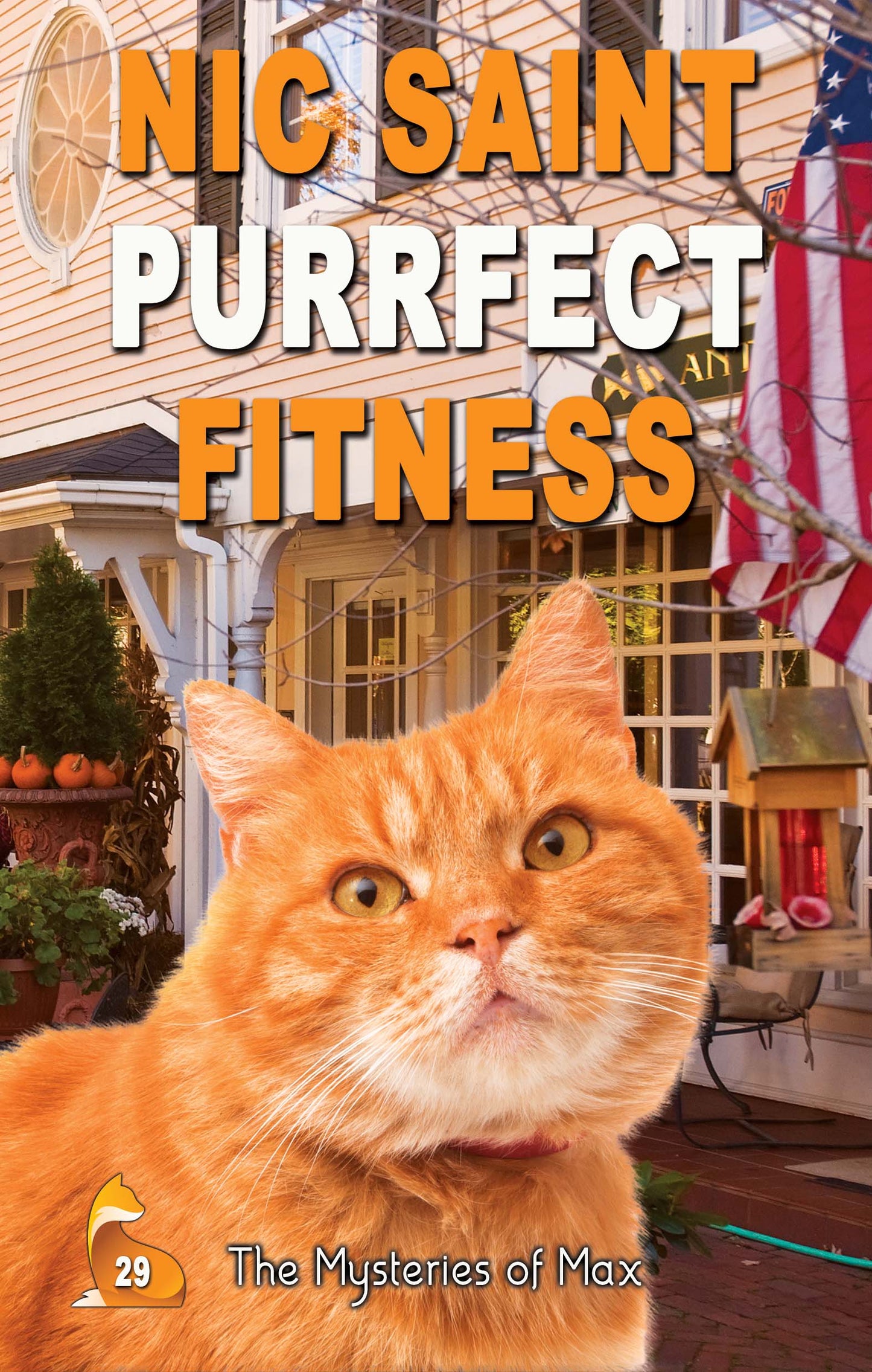 Purrfect Fitness (Paperback)