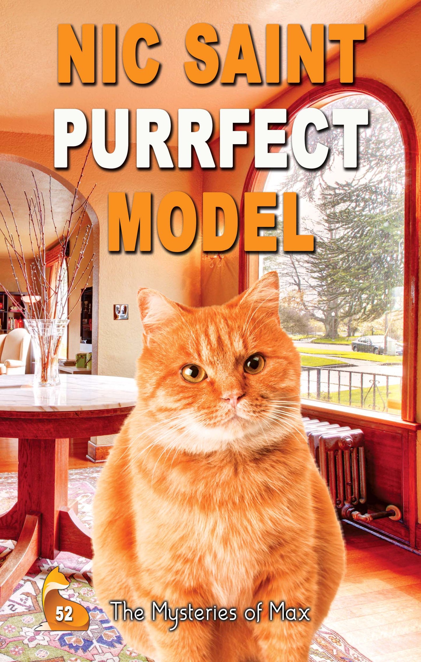 Purrfect Model (Paperback)