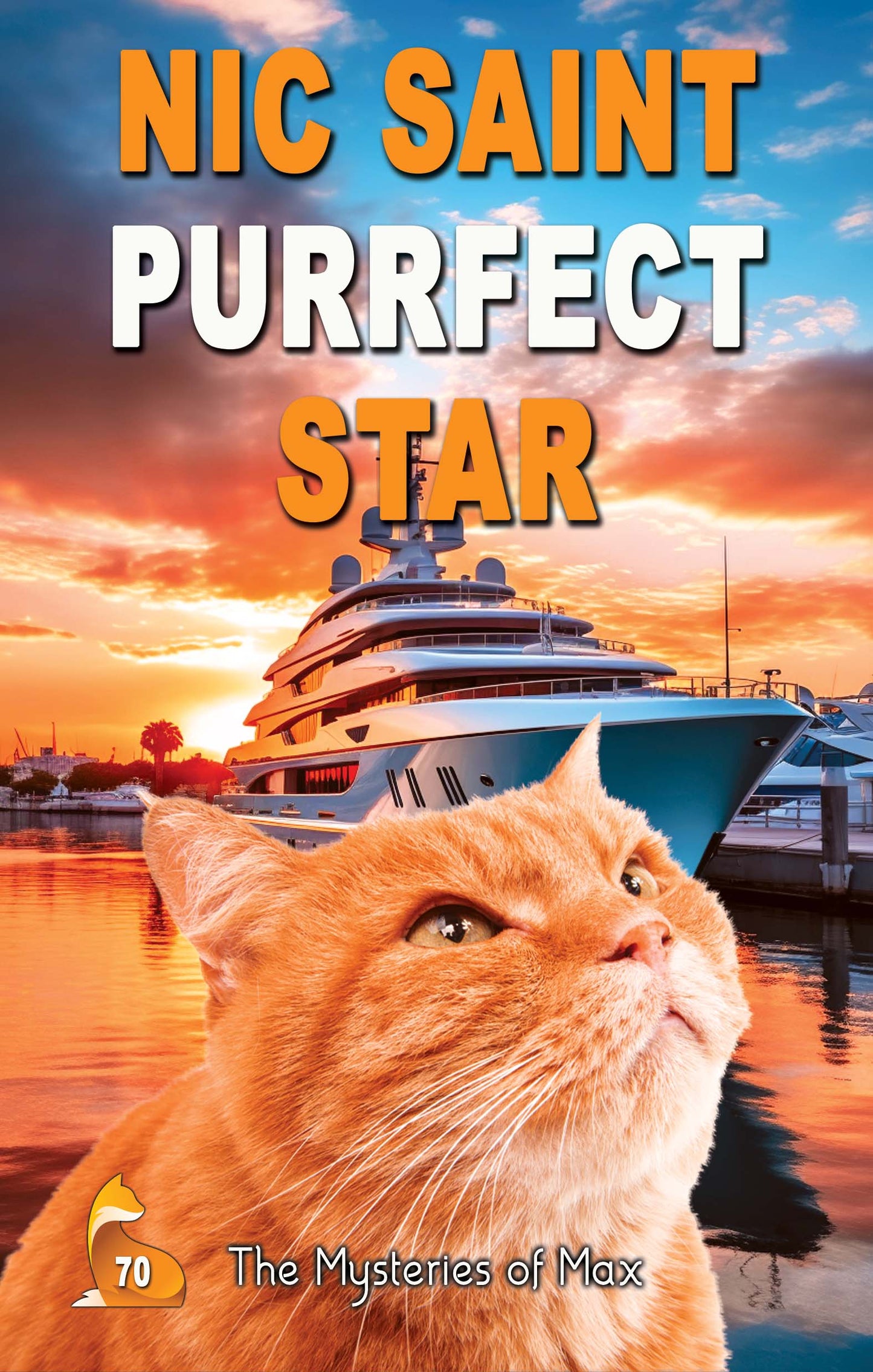 Purrfect Star (Paperback)