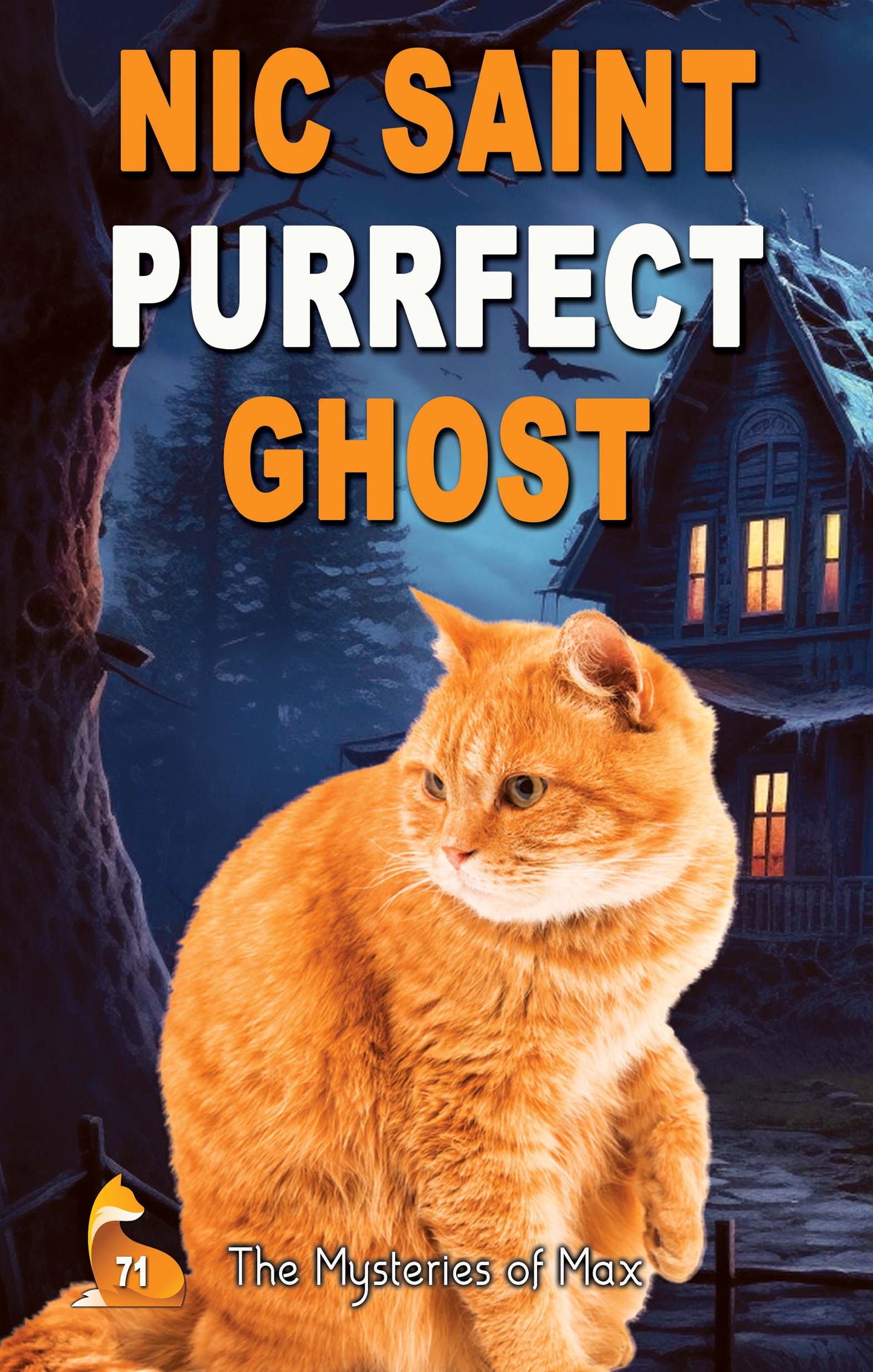 Purrfect Ghost (Paperback)