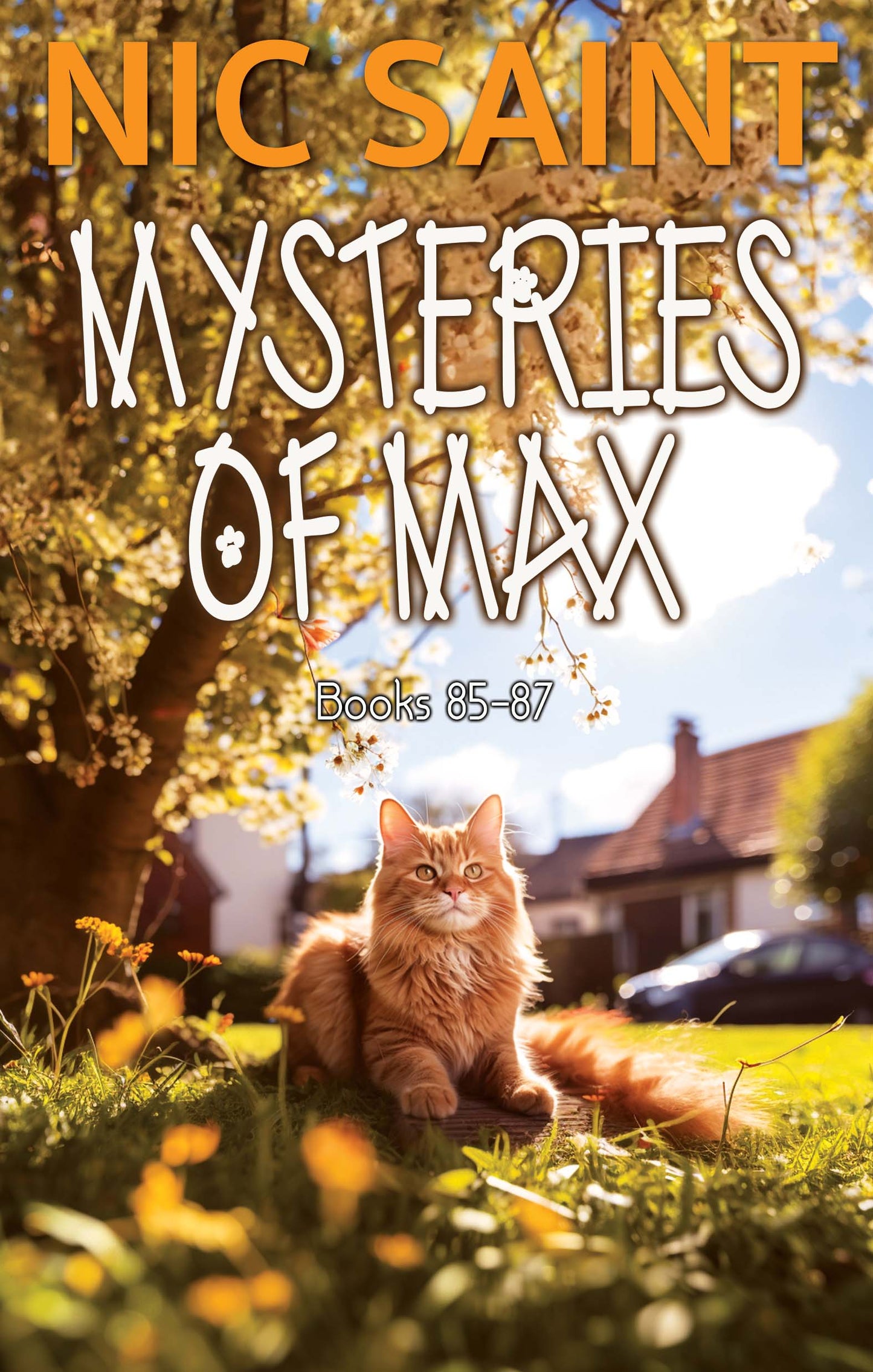 Mysteries of Max: Books 85-87 (Paperback)